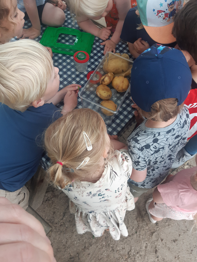 Børn i Børnehuset Overvænget