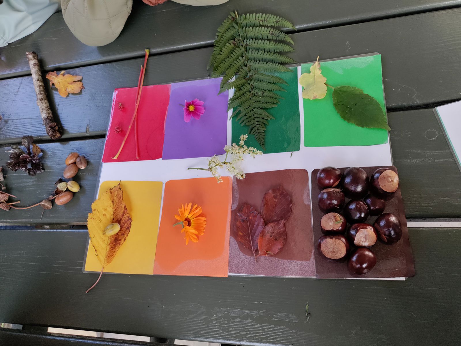 Naturtavle i Børnehuset Overvænget