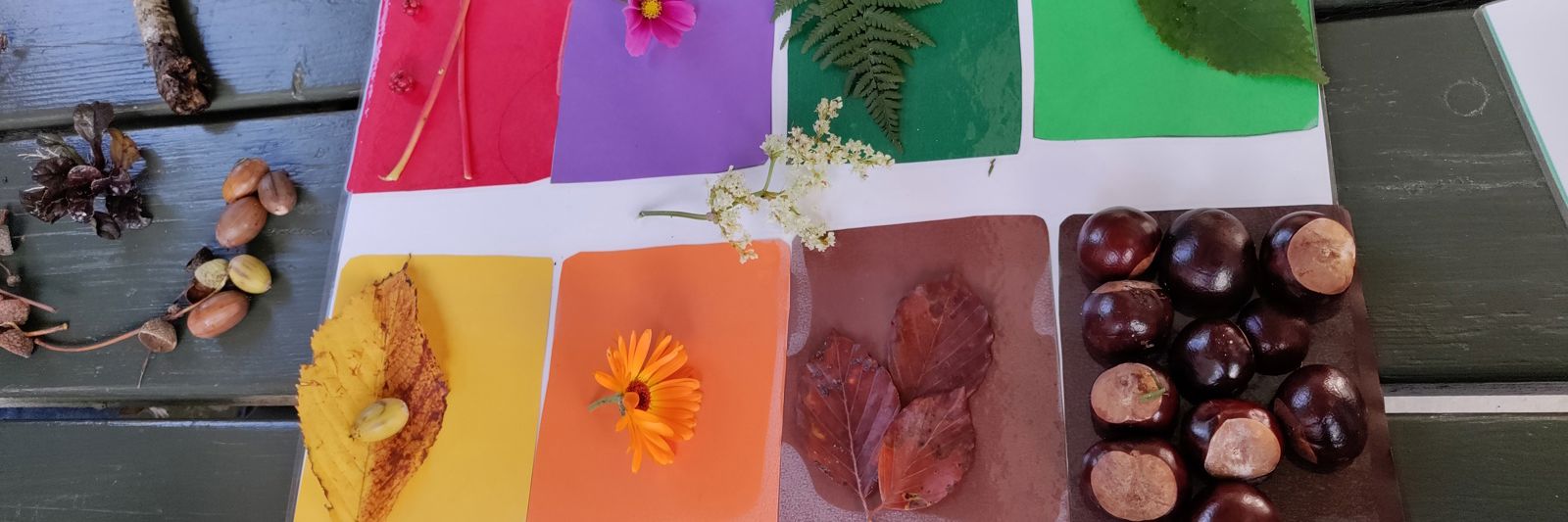 Naturtavle i Børnehuset Overvænget